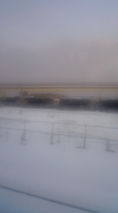 100220_0644~01.jpg