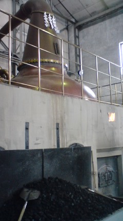 100220_1305~01.jpg