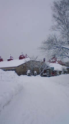 100220_1309~01.jpg