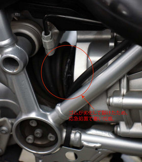 DSC09600ss.jpg