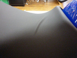 P1000053s.jpg