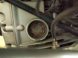 P9117437ss.jpg